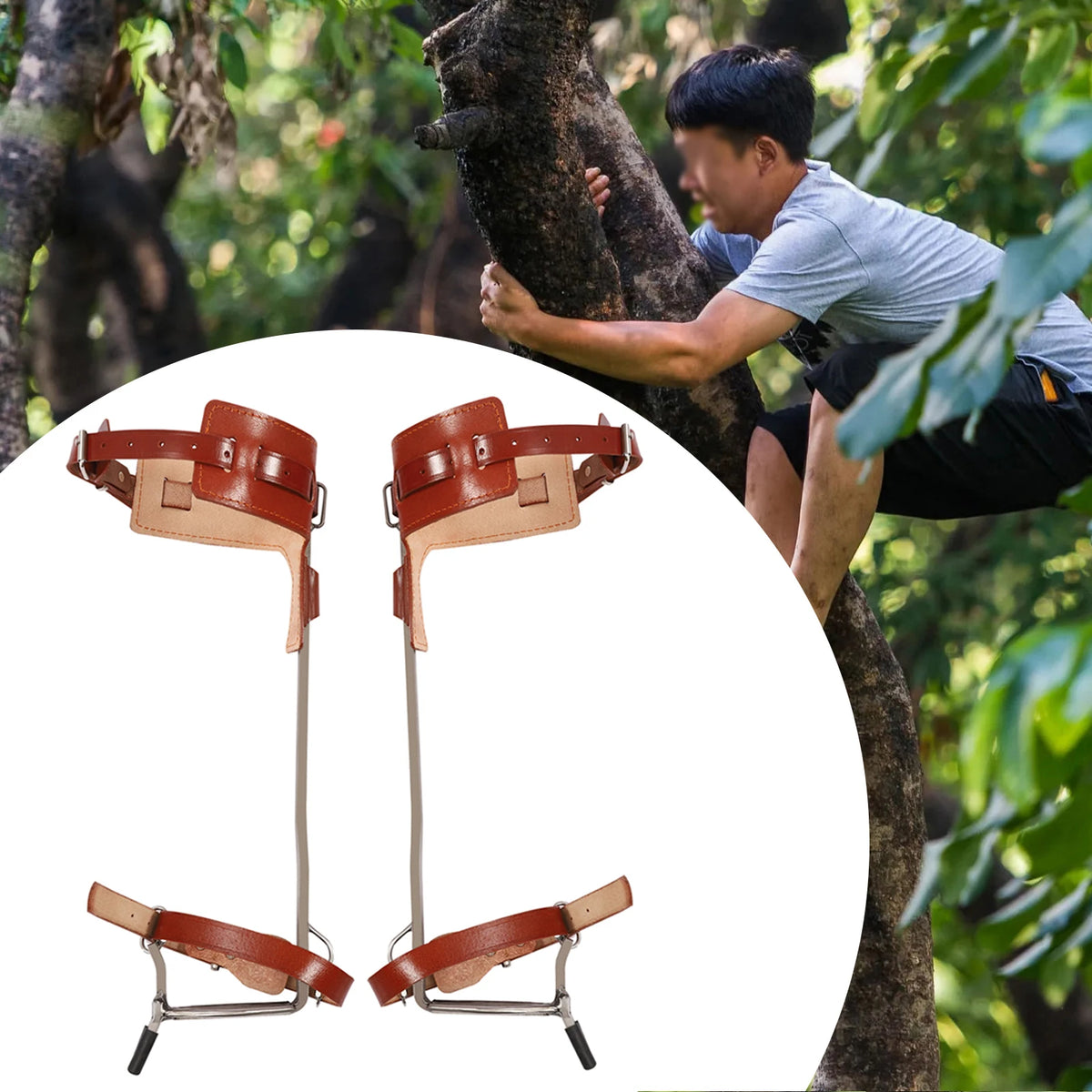 Double Claw Climbing Tool, Stainless Steel with Thickened Pedal