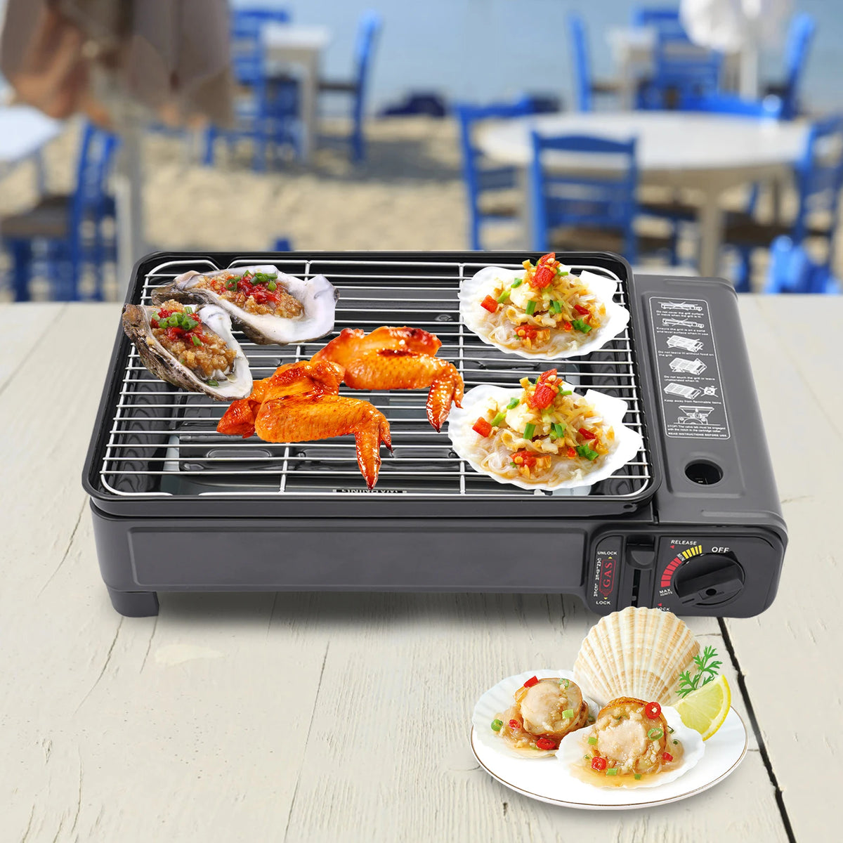 Portable Dual Fuel Gas Grill Stove