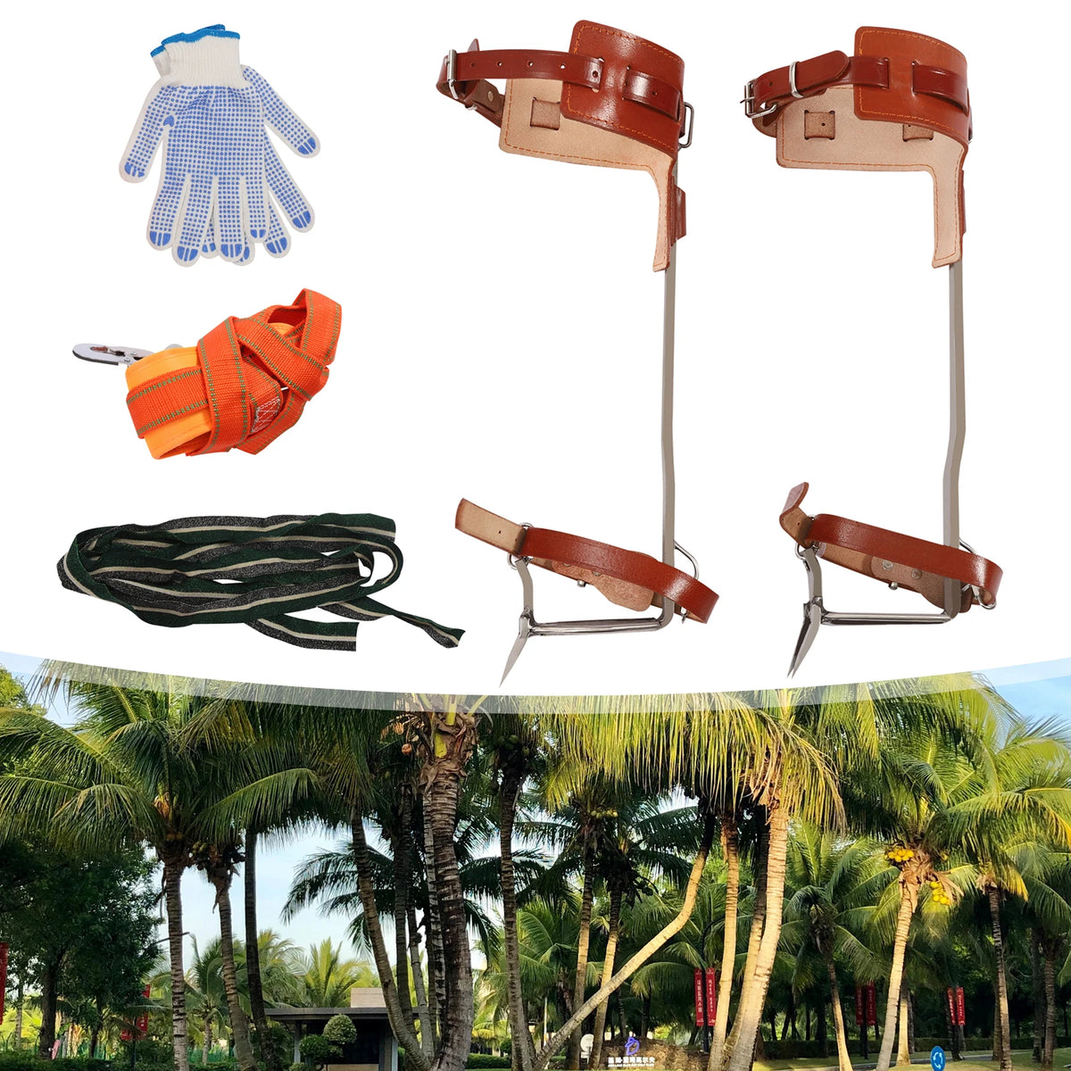 Double Claw Climbing Tool, Stainless Steel with Thickened Pedal