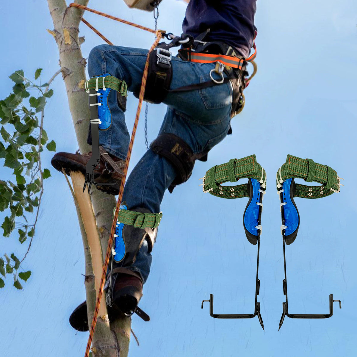 Climbing Gaffs with Safety Belt & Rope